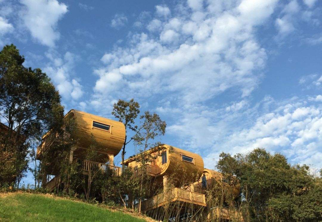 长沙县星空木屋酒店