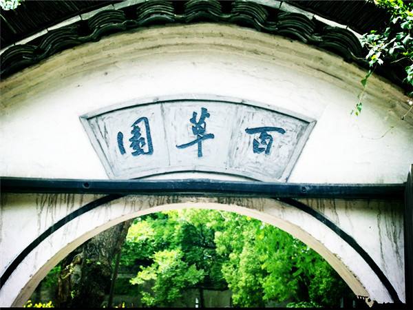 上海江苏浙江 高铁去 高铁回 4天3晚 【江南之美】上海+苏州+杭州+绍兴+乌镇纯玩四日游