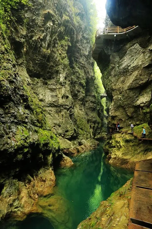 贵州 汽车去 汽车回 1天0晚 【XMT吃喝玩乐】梨子葡萄采摘+潜龙洞一日游