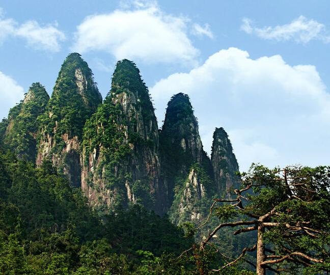 郴州 汽车去 汽车回  2天1晚 高椅岭樱花茶场、711时光小镇、裕后街、 网红五指峰汽车二日游