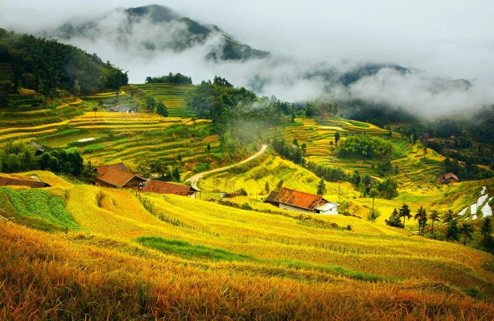 娄底 汽车去 汽车回  2天1晚 【拾秋之旅 | 湘中秘境】娄底•紫鹊界万顷梯田+三联峒龙脊峰+冰泉峡谷2日游