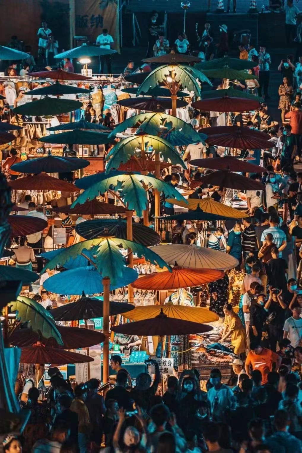 云南 高铁去 高铁回  6天5晚 纯享澜湄-昆明西双版纳双高双动6日游