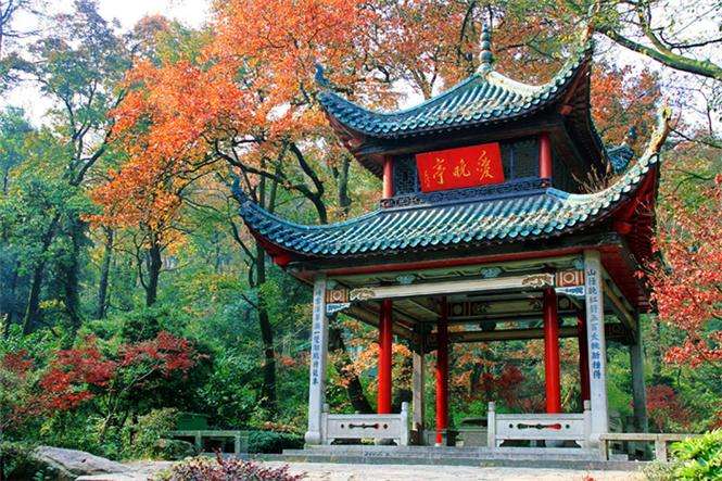 长沙 汽车去 汽车回 3天2晚 长沙韶山岳阳三天