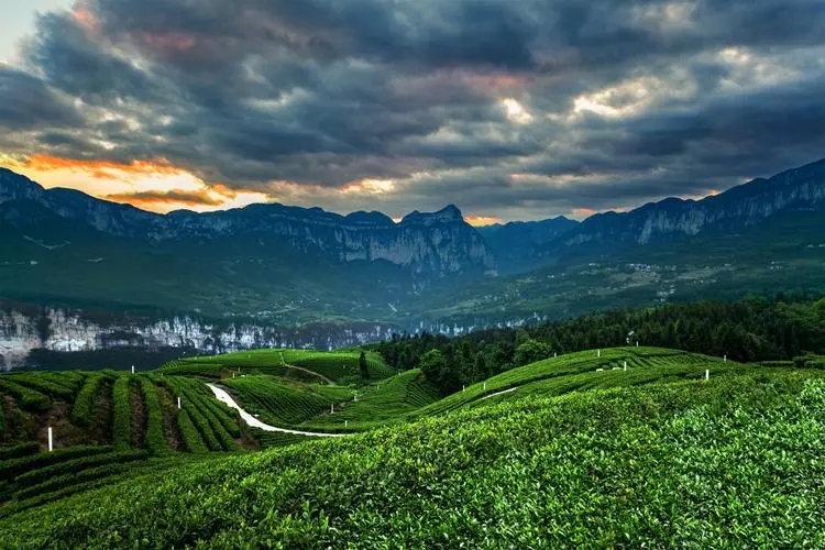 恩施 汽车去 汽车回  3天2晚 【XSD】蝶舞清江，云顶恩施纯玩三日游