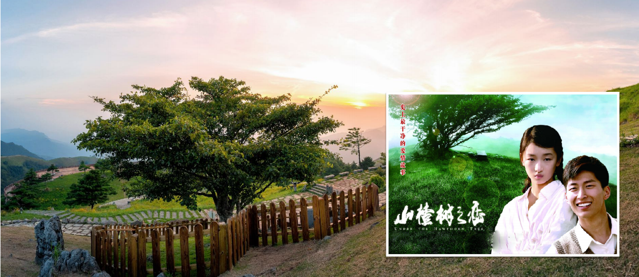 湖北 汽车去 汽车回  2天1晚 首席三峡二日游