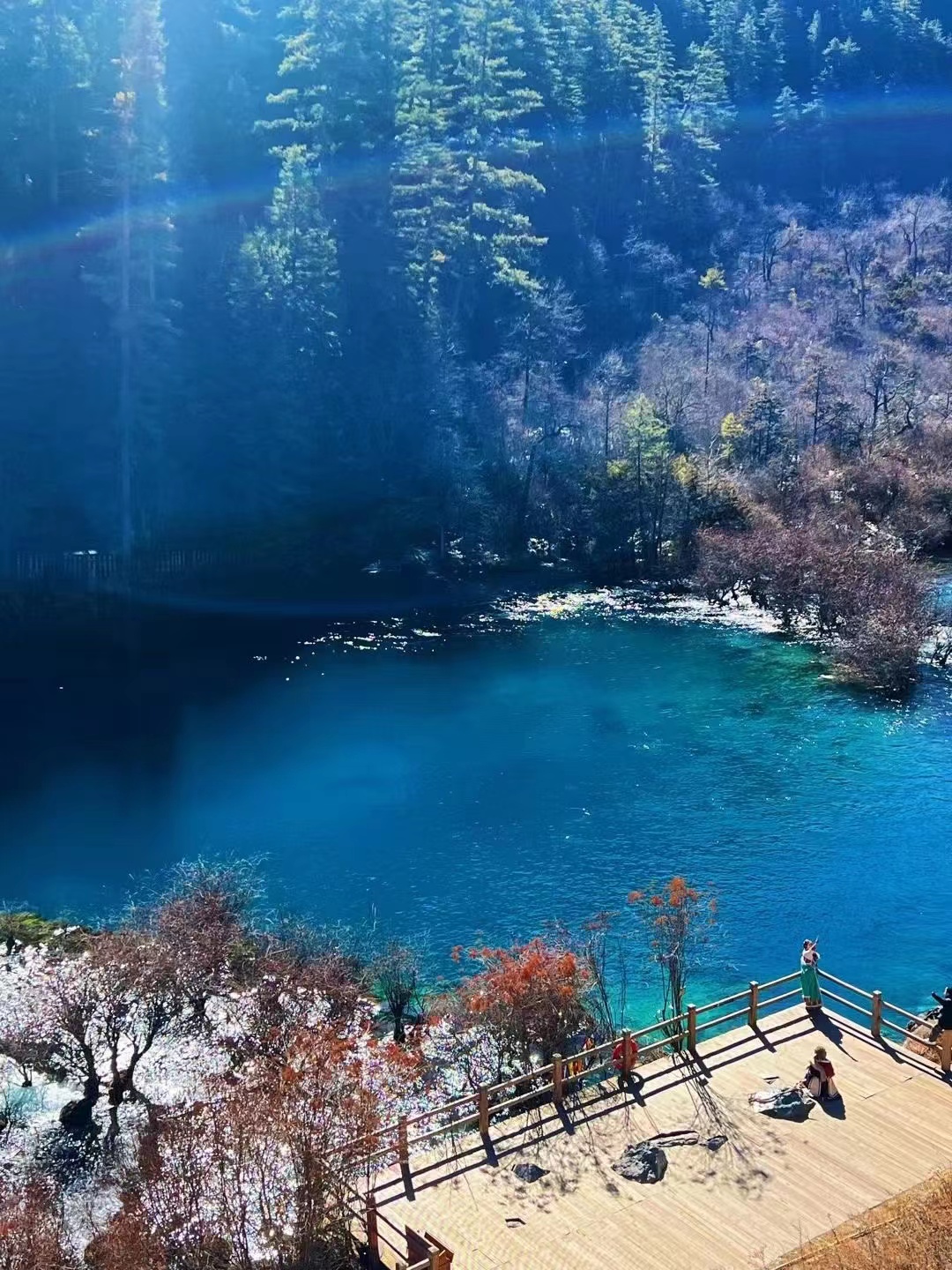 四川 飞机去 飞机回  6天5晚 【特价九寨】长沙成都九寨黄龙都江堰熊猫乐园双飞6日游