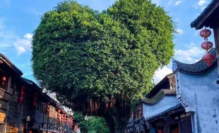 福建 动车去 动车回  5天4晚 【赶海壹号】福州古城+平潭岛寻蓝眼泪+沙滩篝火+北港村+连江奇趣赶海五日