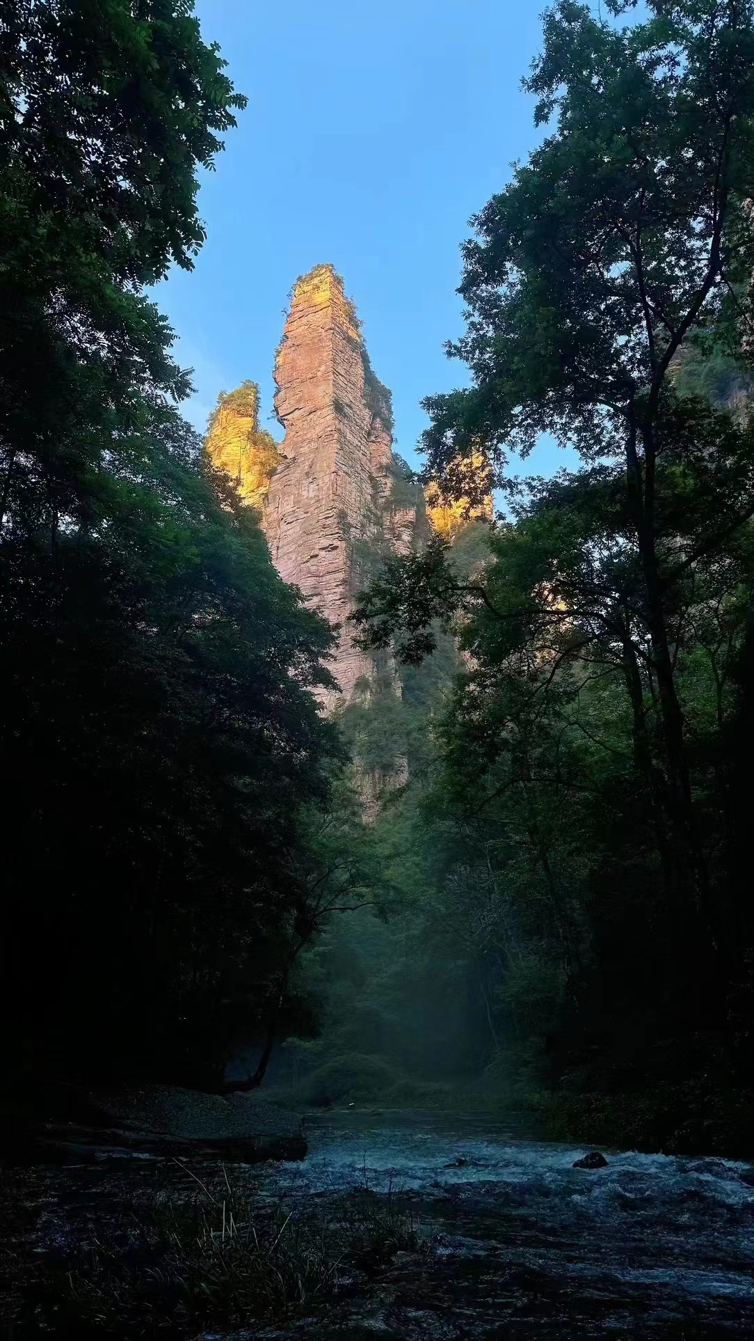 张家界 汽车去 汽车回  5天4晚 张家界武陵源旅居避暑5日游