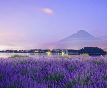 日本 飞机去 飞机回  7天6晚 日本暑期环球影城亲子小团7日游7.25
