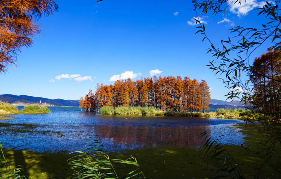 云南 飞机去 飞机回  6天5晚 【YM】滇西双城记-长沙腾冲双飞6天