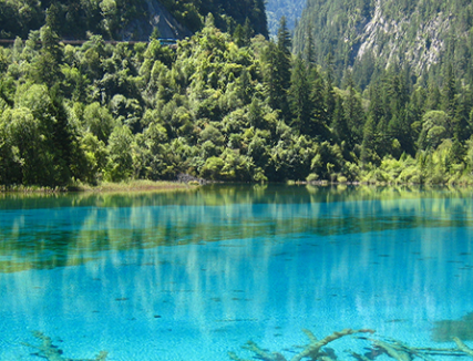 四川 火车去 火车回  10天9晚 2026银发一族-成都都江堰九寨黄龙峨眉乐山双卧10日游