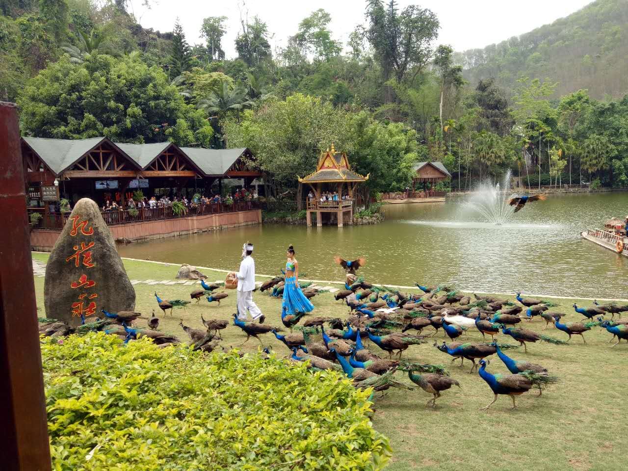 云南 飞机去 飞机回  8天7晚 花见花开-昆大丽版双飞三动7晚8日