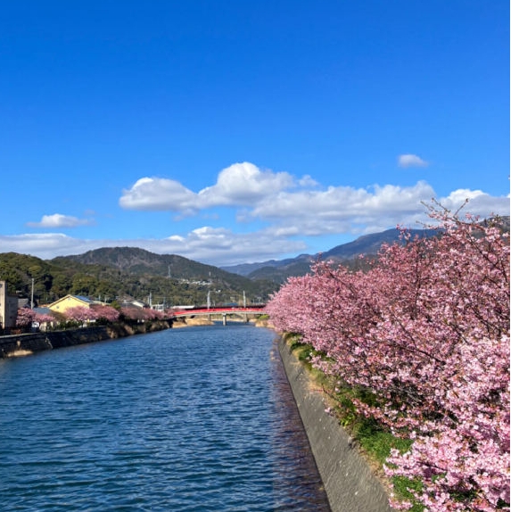 日本 飞机去 飞机回  8天7晚 【瑞享日本】探秘日本全景*一价全包8天7晚