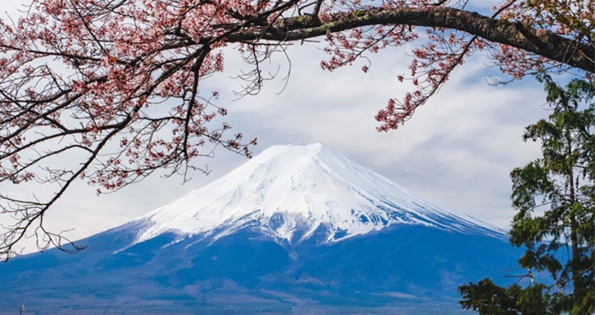 日本 飞机去 飞机回  7天6晚 长沙直飞东阪 风物诗