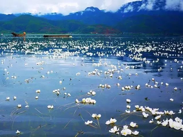 云南 飞机去 飞机回  6天5晚 云上花境 丽江/大理/泸沽湖双飞6日游（高品12人小包团）