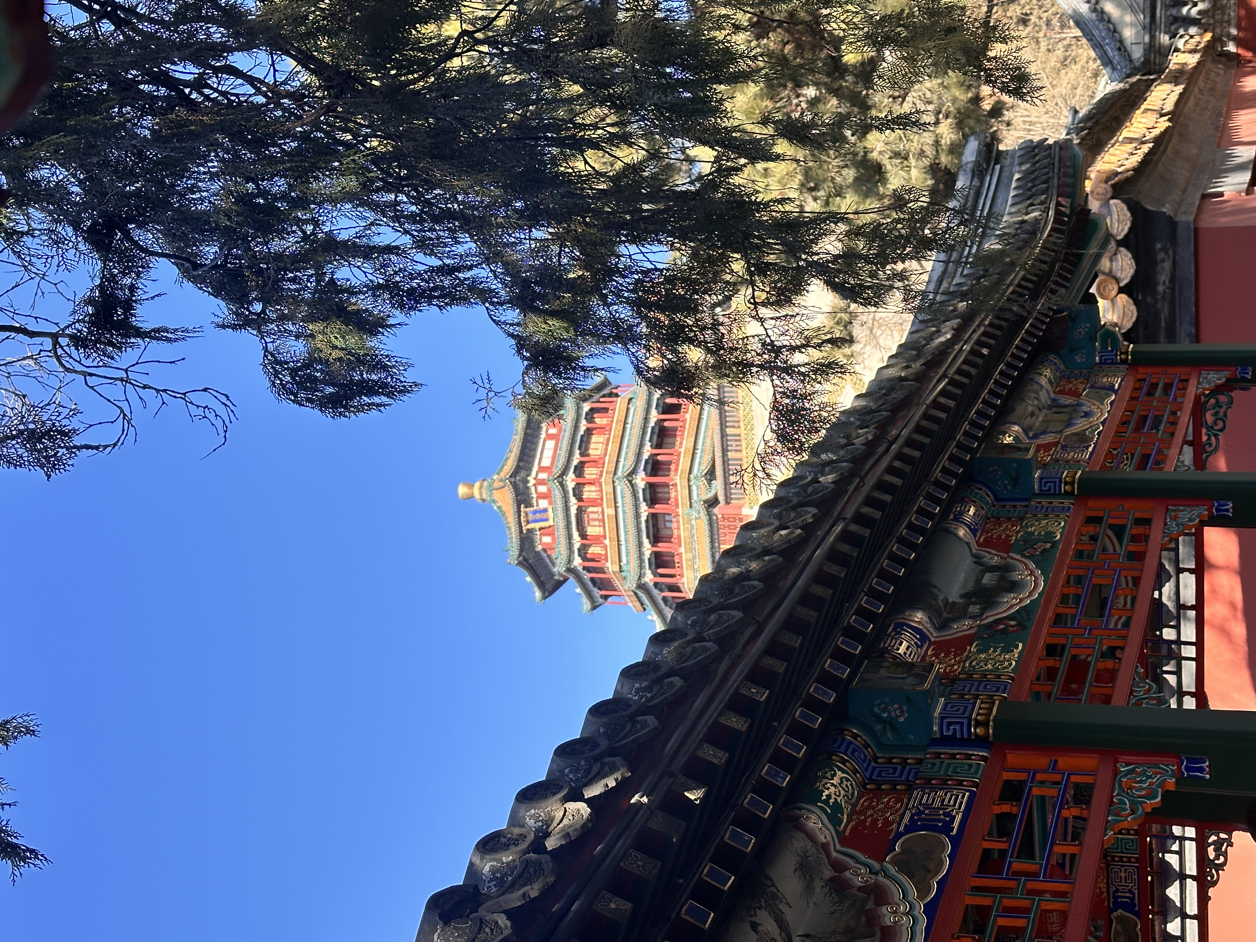 北京 飞机去 飞机回  5天4晚 慢慢游--北京一地纯玩双飞五日游（3月）