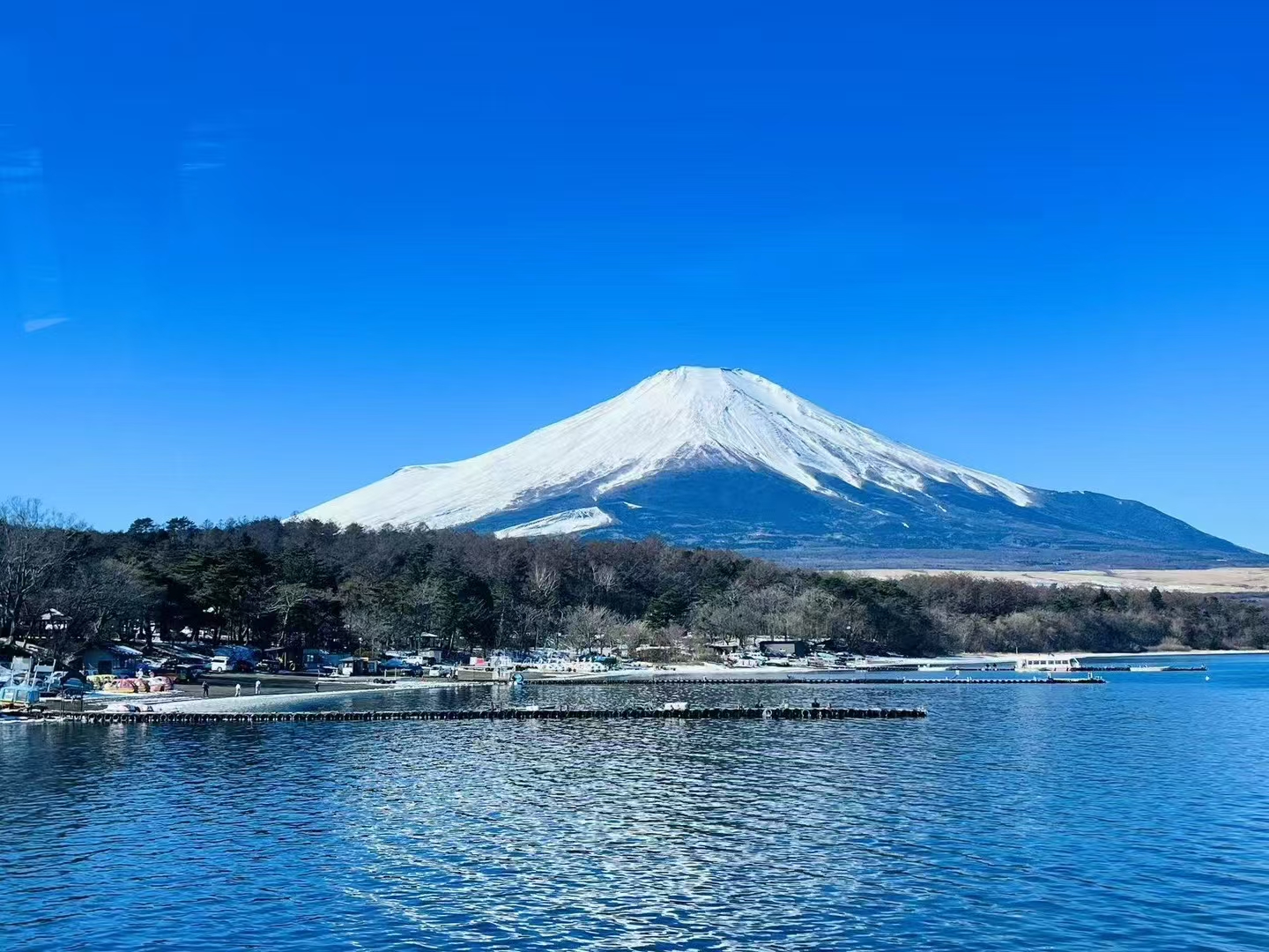 日本 飞机去 飞机回  8天7晚 5月【瑞享日本】本州全景安心游8天7晚