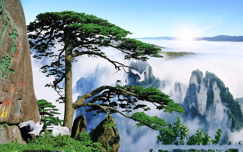 安徽 高铁去 高铁回  4天3晚 【江南传奇-黄山云海】