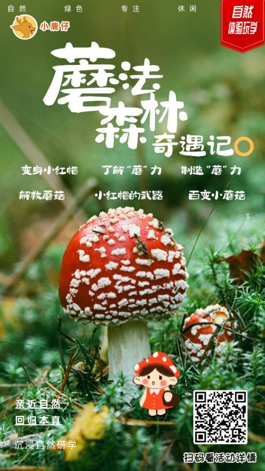 长沙 汽车去 汽车回  1天0晚 蘑法森林奇遇记师生研学一日