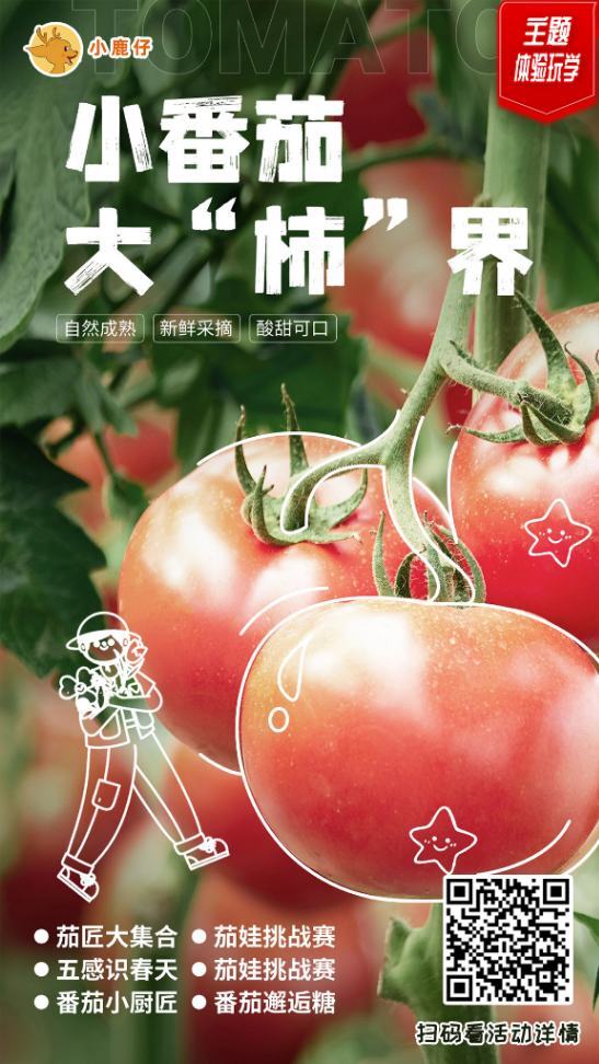 湘潭 汽车去 汽车回  1天0晚 小番茄大柿界师生研学一日