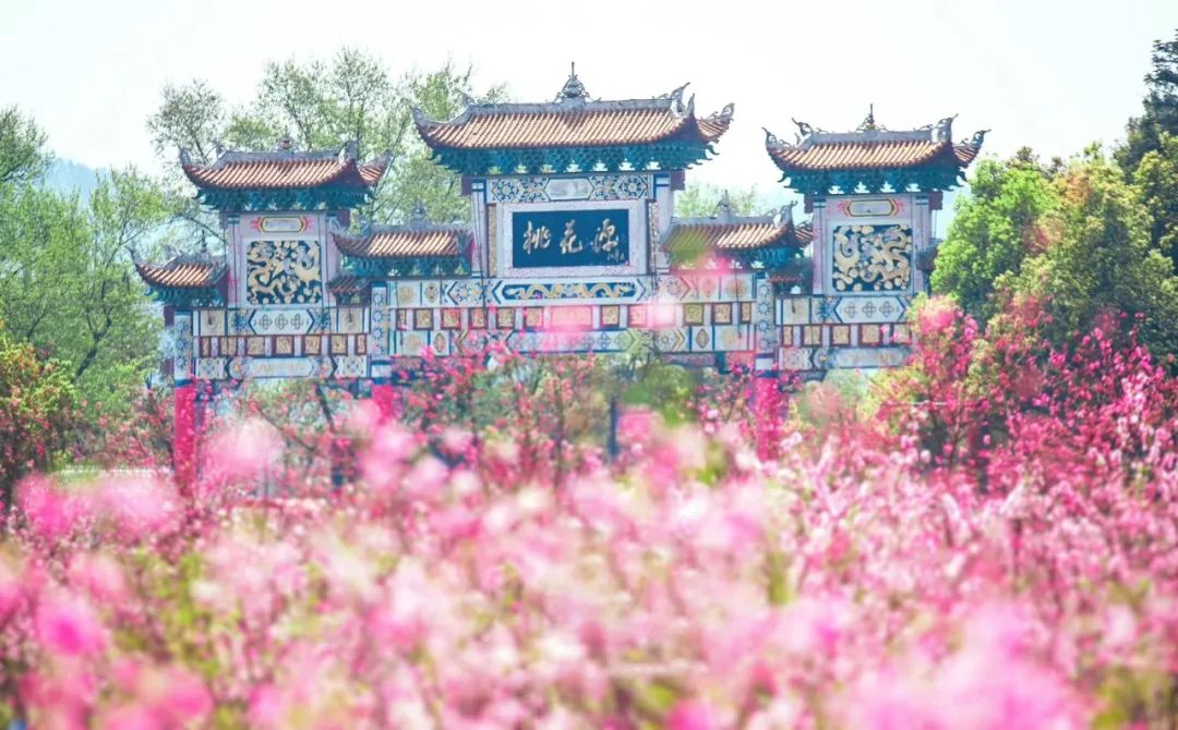 常德 汽车去 汽车回  2天1晚 【团队】桃花源+桃花源古镇+常德河街+桃川万寿宫汽车2日游