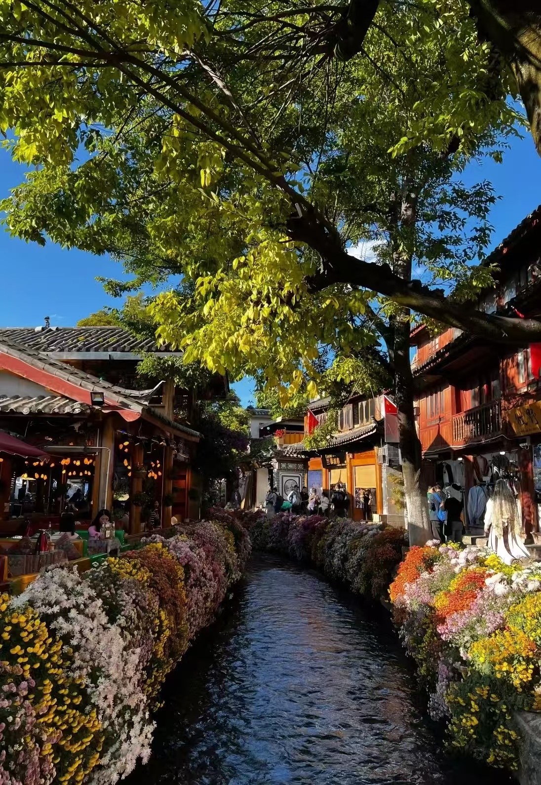 云南 飞机去 飞机回  6天5晚 爆款丽江-丽江大理泸沽湖6日游