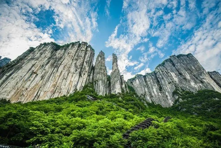 江西 汽车去 汽车回  3天2晚 【向往的自驾】  仙踪竹海·山水寻幽丨遂川白水仙丨桃源梯田丨罗霄山大裂谷 红圩小镇休闲轻奢自驾三日游