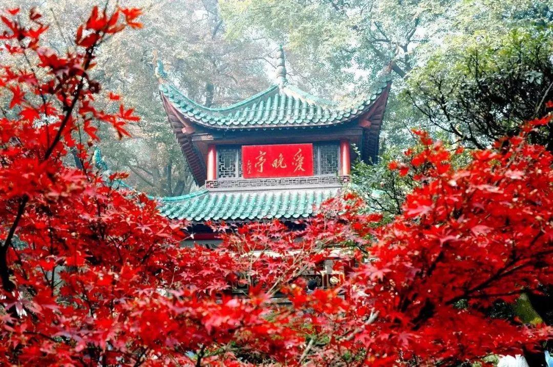 长沙湘潭 汽车去 汽车回  4天3晚 【咯guó里正当红】 网红长沙+红色韶山VIP精致小团二日游（2-16人）