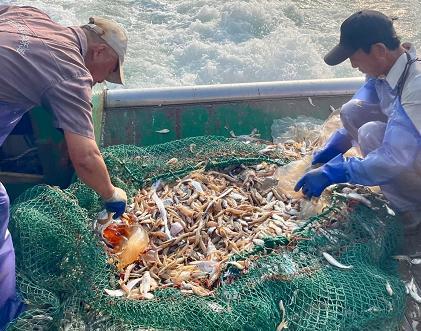 广东 汽车去 汽车回  3天2晚 海陵岛