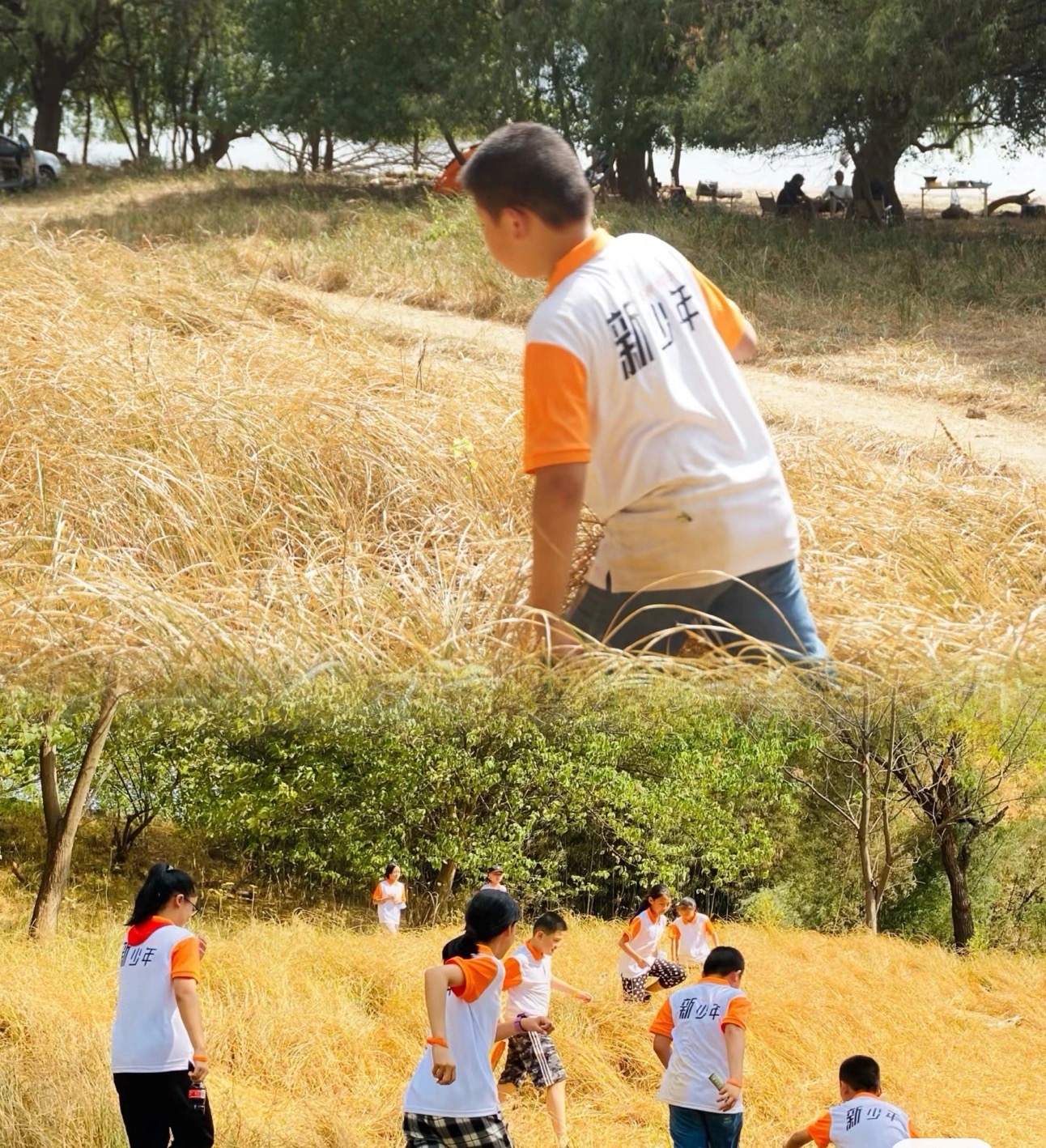 长沙 轮船去 轮船回  1天0晚 【新少年五一主题】江心野岛奇遇记独立营