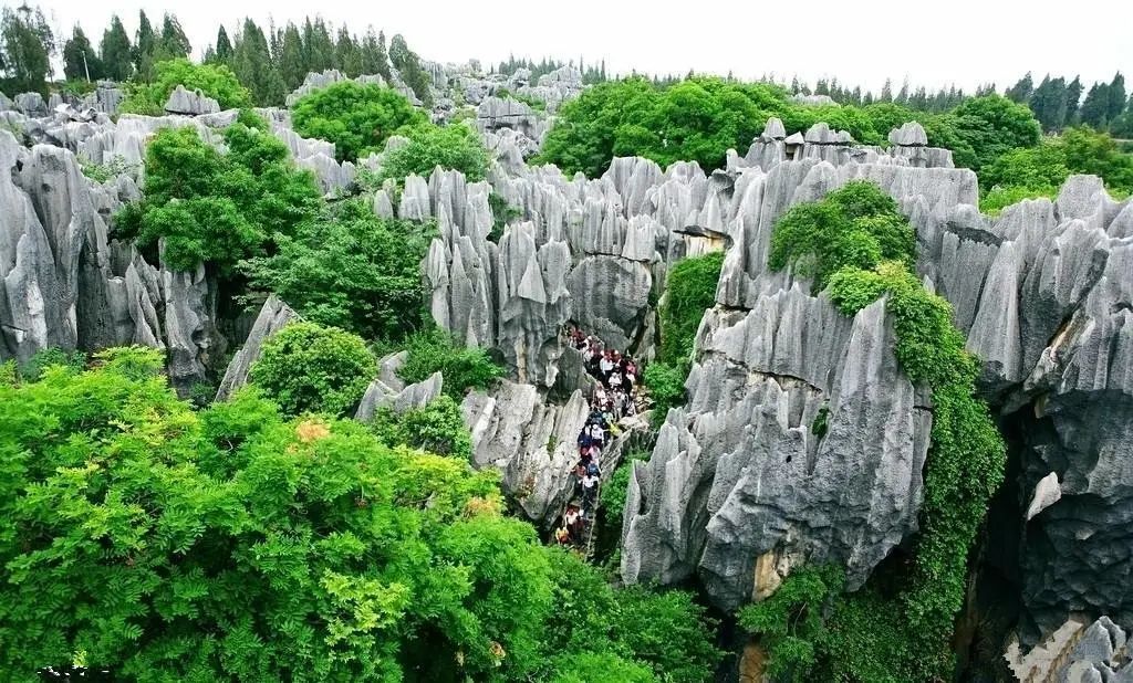 云南 飞机去 飞机回 6天5晚 王牌礼遇昆大丽双飞一动6日游