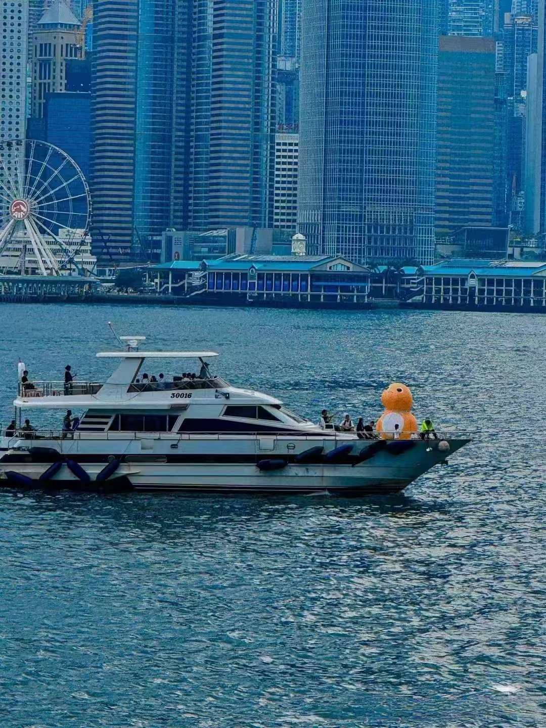 香港澳门 高铁去 高铁回 6天5晚 C线路暑期趣游港澳双高6日游(港三海洋含一天自由活动