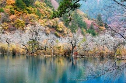 四川 高铁去 高铁回  8天7晚 四川8日游