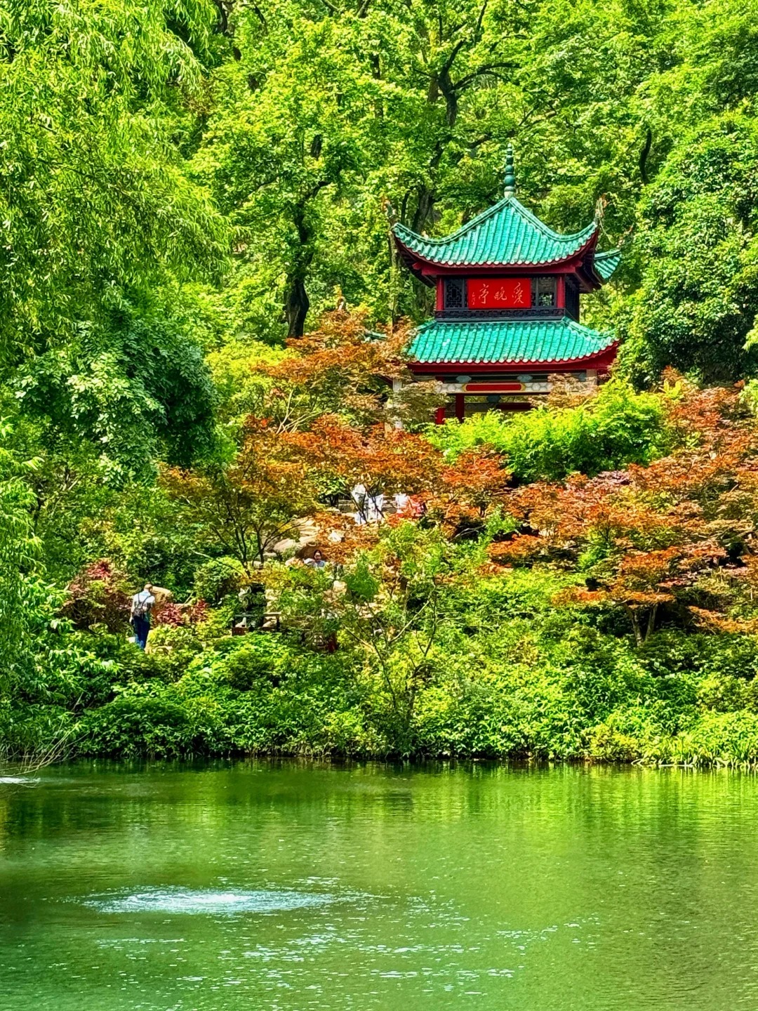 长沙 汽车去 汽车回 1天0晚 长沙VIP精致小团一日游(15人得乐社线)