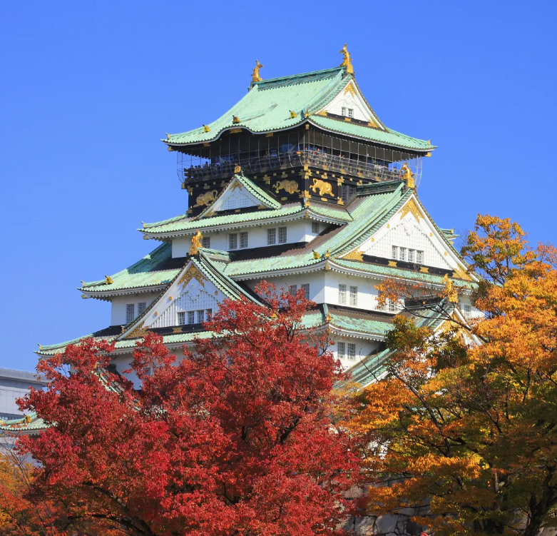 日本 飞机去 飞机回  6天5晚 —奢玩关西和歌山— 大阪和歌山温泉奈良京都 6天5晚