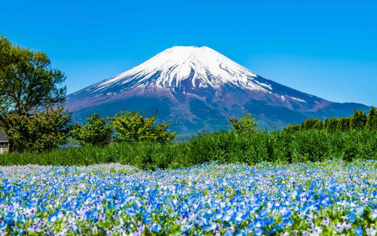 日本 飞机去 飞机回  6天5晚 日本本州全景