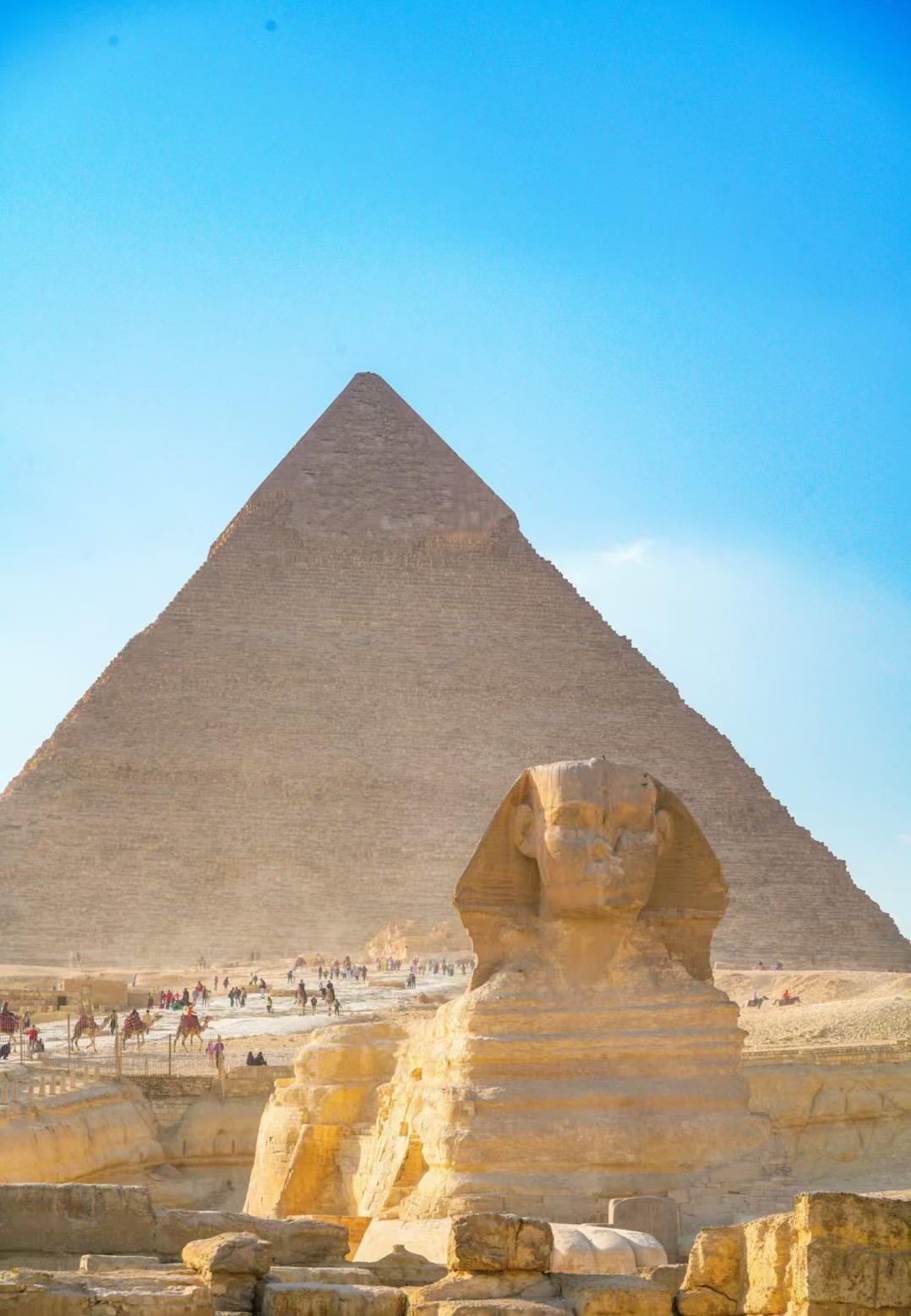 埃及 飞机去 飞机回  10天9晚 埃及游轮10天