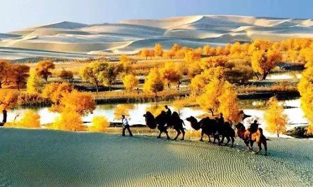 新疆 飞机去 飞机回  8天7晚 环飞南疆三飞8日