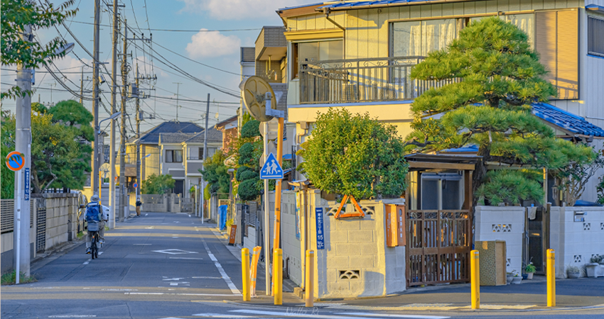 日本 游客自理去 游客自理回  6天5晚 北海道单地接定制