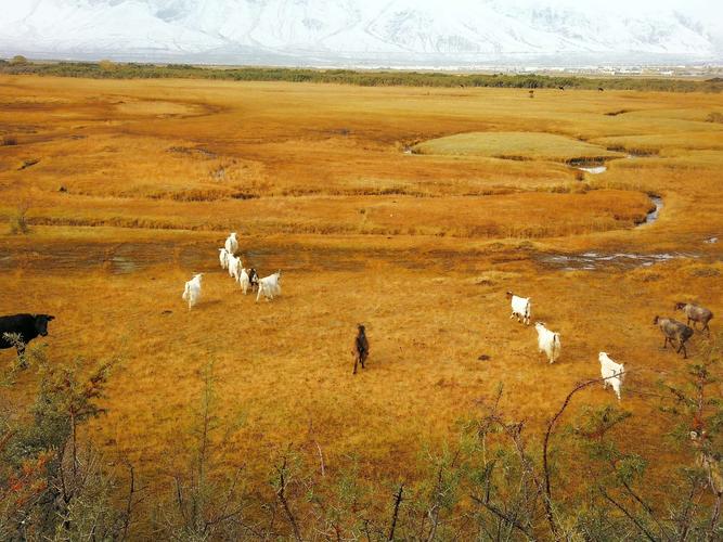 新疆 飞机去 飞机回  12天11晚 南疆之星深度大环游双飞12日