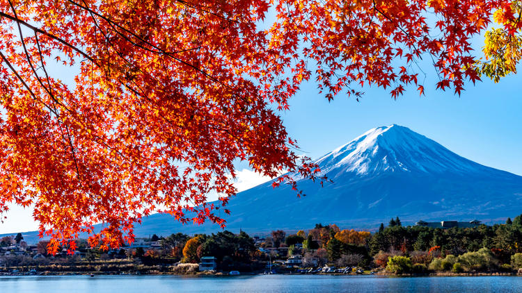 日本 飞机去 飞机回  7天6晚 品味东洋7天