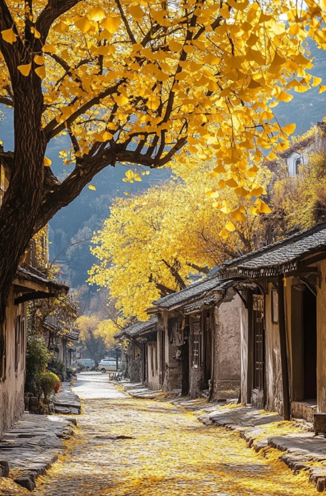 云南 飞机去 飞机回 7天6晚 秋意腾冲-直飞芒市瑞丽腾冲7天6晚游