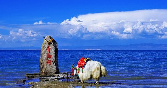 甘肃青海 飞机去 飞机回 7天6晚 丝路双湖双飞7日