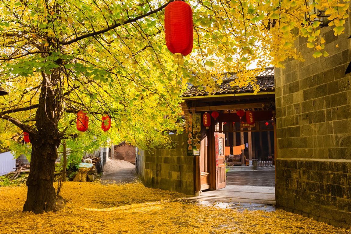 云南 飞机去 飞机回 6天5晚 纯玩腾冲-直飞芒市腾冲6日游-11月