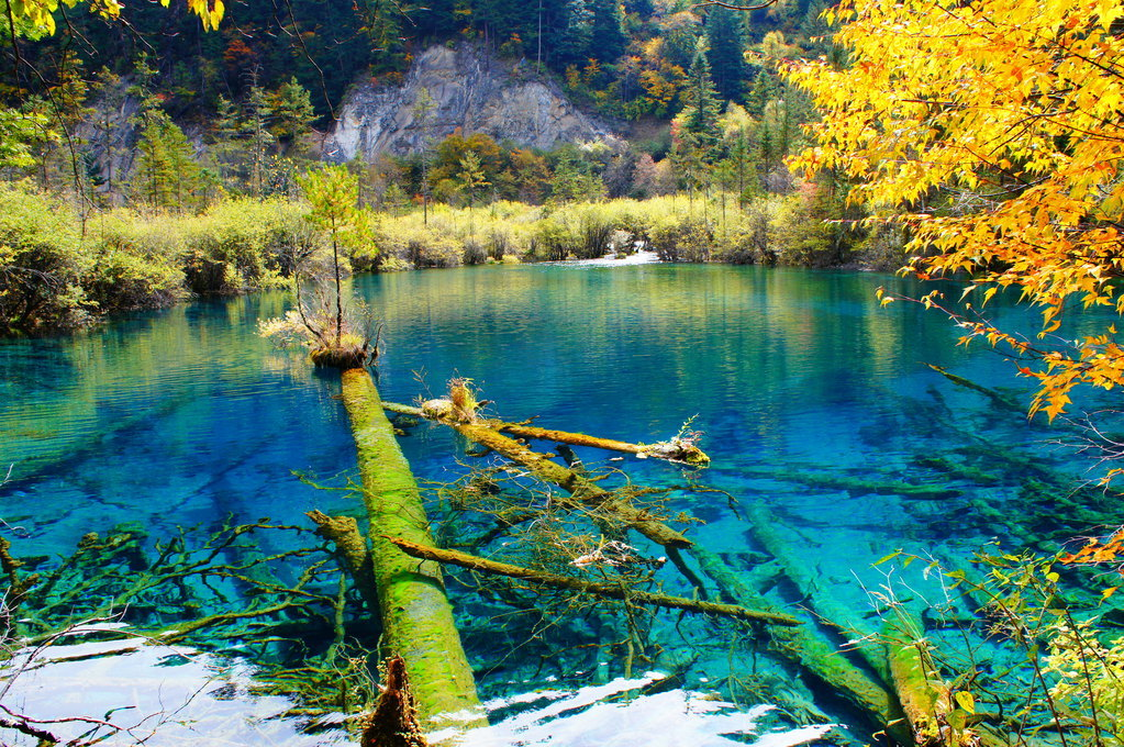 四川 飞机去 飞机回  5天4晚 总裁九寨双飞5日游