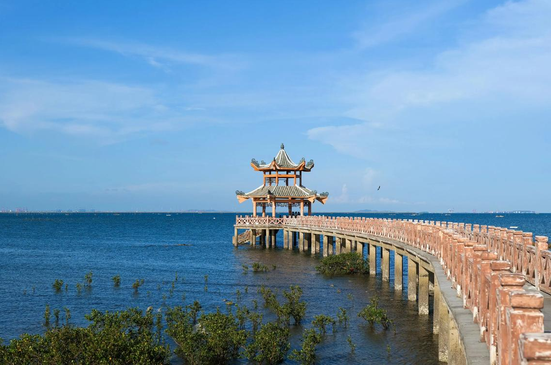 广西 动车去 动车回  10天9晚 广西防城港旅居康养纯玩双动10日游