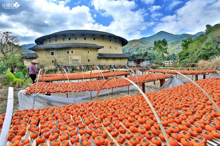 福建 飞机去 飞机回 5天4晚 【那片海】厦门大学+鼓浪屿+南靖云水谣+漳州古城双飞五日游