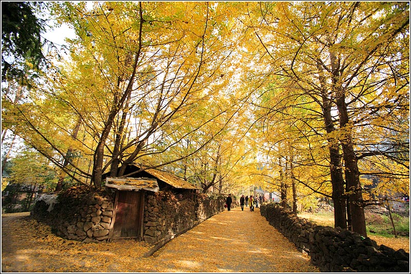 云南 飞机去 飞机回  6天5晚 和顺时光-直飞芒市瑞丽腾冲6日游（湖南自组）