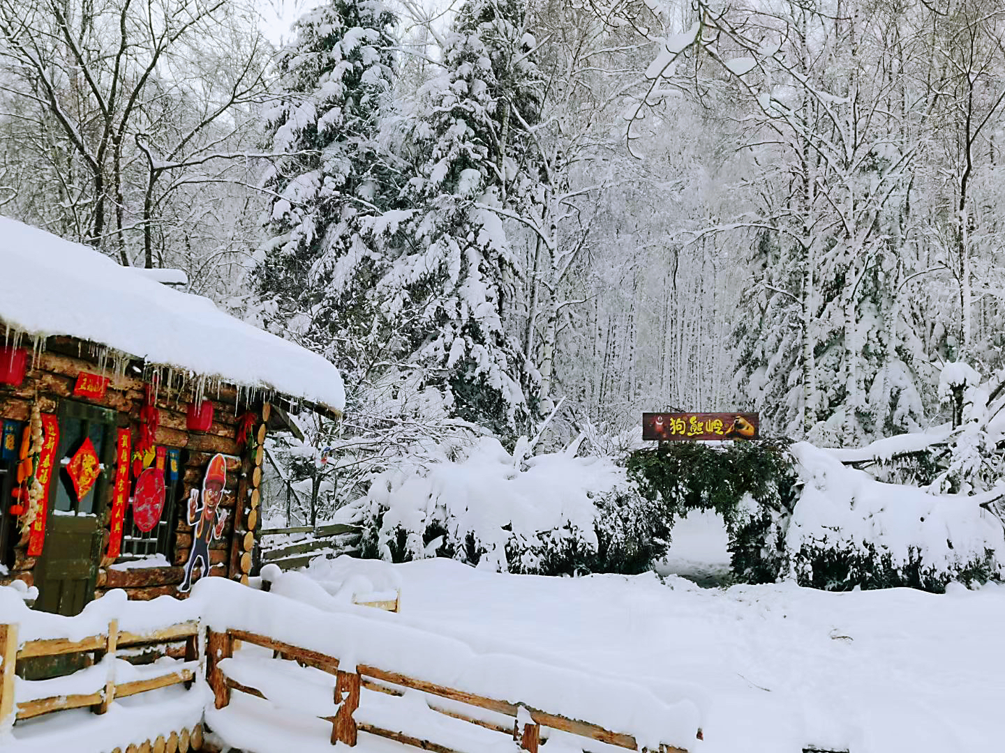 吉林黑龙江 飞机去 飞机回  8天7晚 【最北邮局】哈尔滨-亚布力滑雪-驯鹿园-横道河子--镜泊湖冰瀑-冬捕-雪乡旅拍-雪地摩托-冰雪大世界-中央大街-漠河-北极村双飞8日