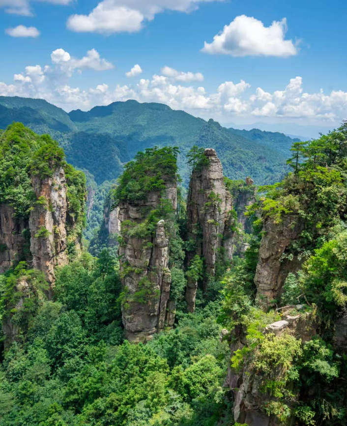 湘西 汽车去 汽车回  3天2晚 MJ株洲起止【相约张家界】七星山+森林公园+72奇楼3日